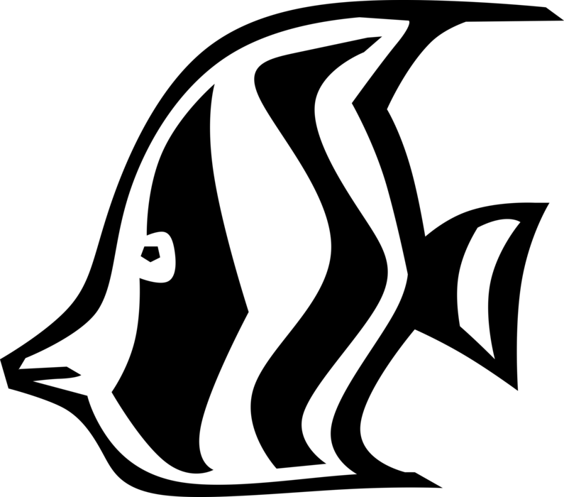 Vector Illustration of Aquatic Marine Angel Fish