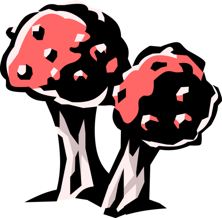 Vector Illustration of Deadly Amanita Muscaria Wild Mushroom or Toadstool Fleshy Spore-Bearing Fungus
