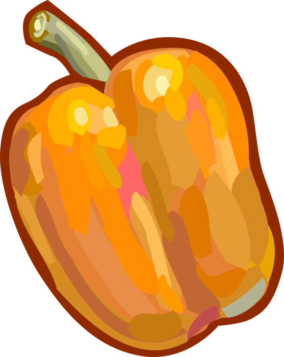 Vector Illustration of Pepper Capsicum Bell Pepper