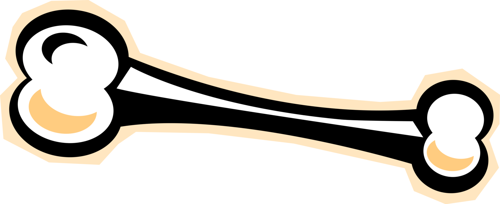Vector Illustration of Skeleton Bone