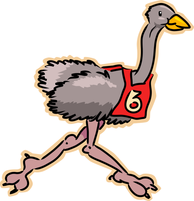 Vector Illustration of Flightless African Ostrich Running in Marathon Race
