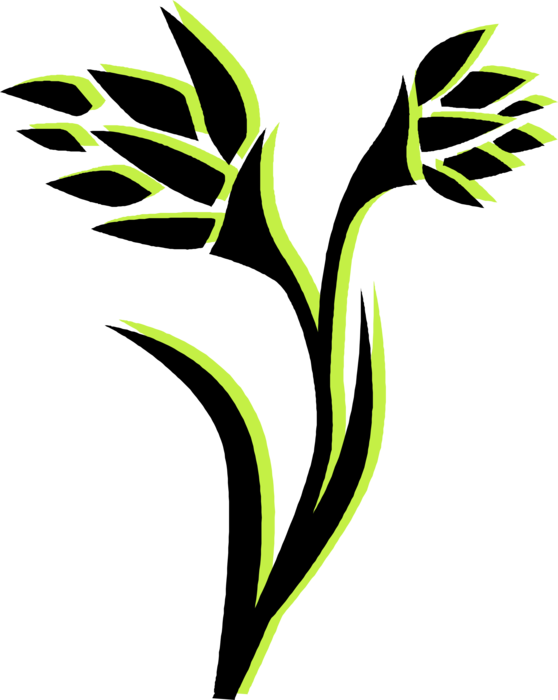 Vector Illustration of Flowering Botanical Horticulture Plant Flowers