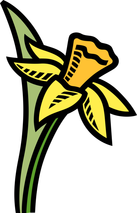 Vector Illustration of Easter Pascha Daffodil Yellow Flower Blossom