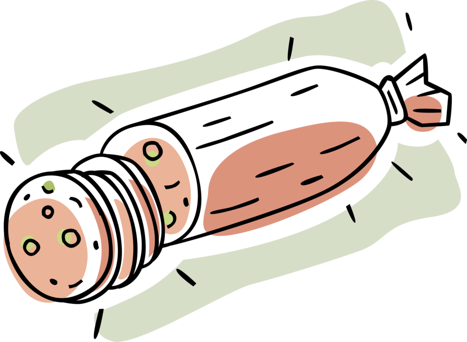 Vector Illustration of Salami Cured Sausage Fermented and Air-Dried Meat