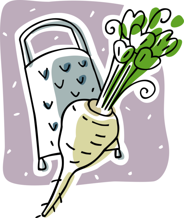 Vector Illustration of Parsnip Tuber Vegetable with Food Grater