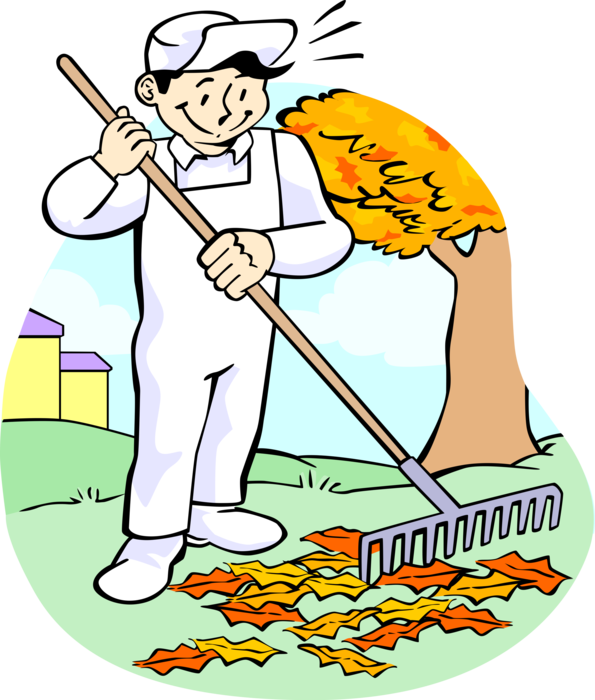 Vector Illustration of Lawn Care Groundskeeper Raking Fall Autumn Leaves with Rake
