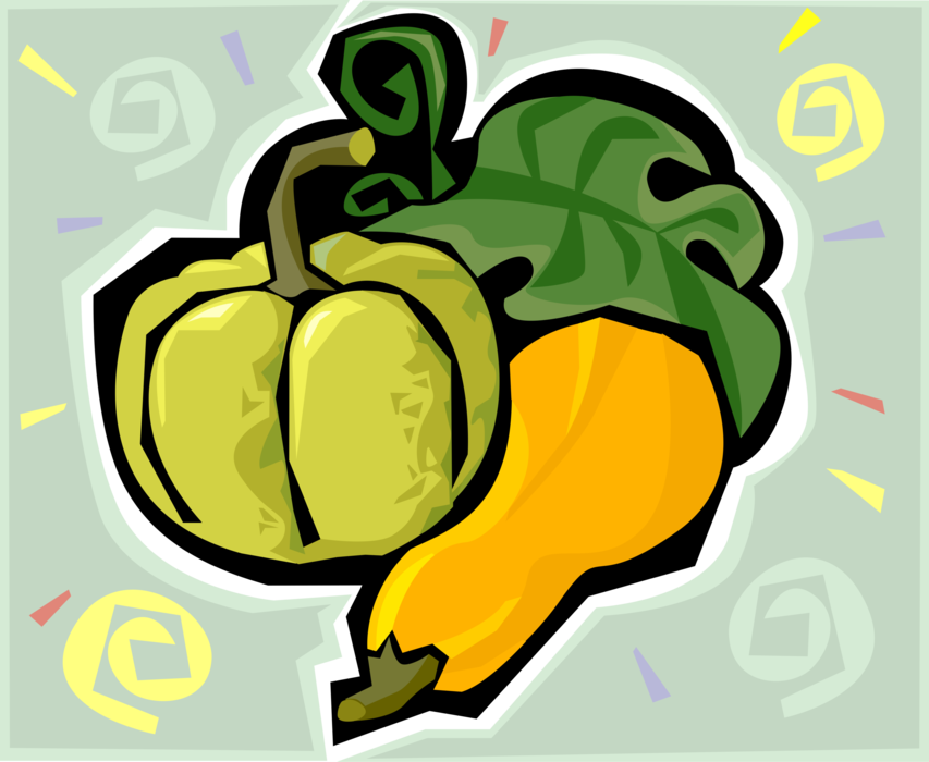 Vector Illustration of Gourds and Squash Pumpkin in Garden