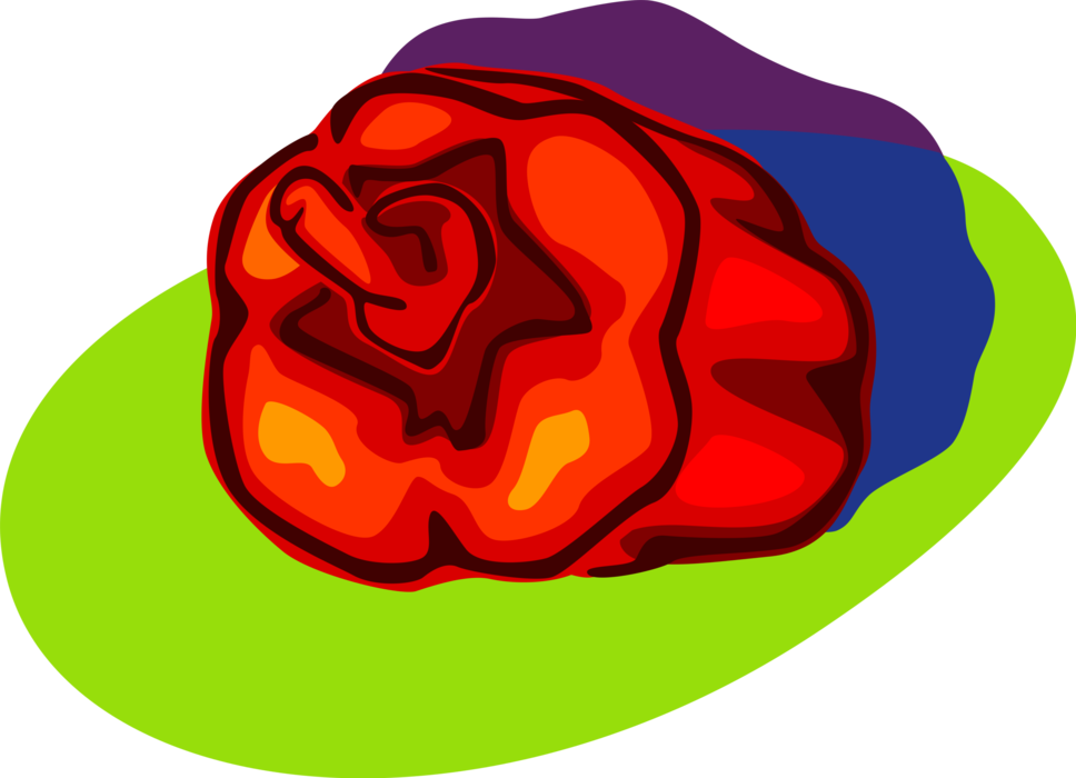 Vector Illustration of Red Pepper Capsicum Bell Pepper