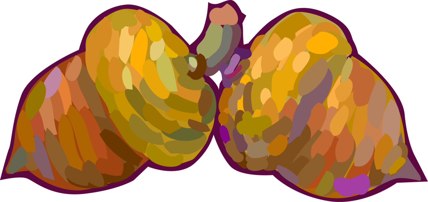 Vector Illustration of Oak Tree Acorn Nut Seeds