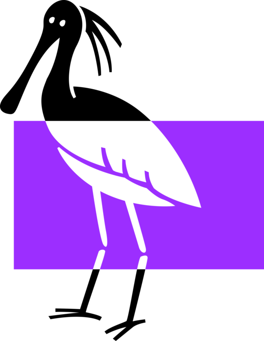 Vector Illustration of Stork Wading Bird with Long Legs