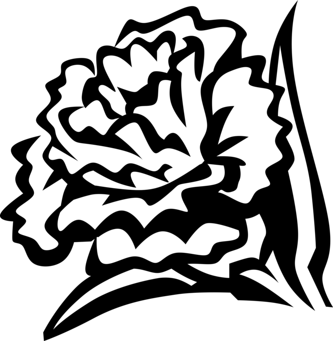 Гвоздики шаблон для вырезания к 9 мая Roses Vinyl Decal #bordar in 2022 Drawing stencils, Flower stencil, Silhouette s