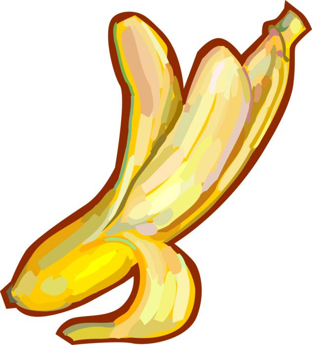 Vector Illustration of Peeled Banana Edible Fruit 