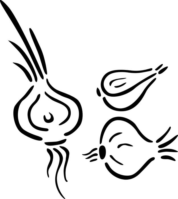 Vector Illustration of Navigational Compass Rose North, South, East, West Direction