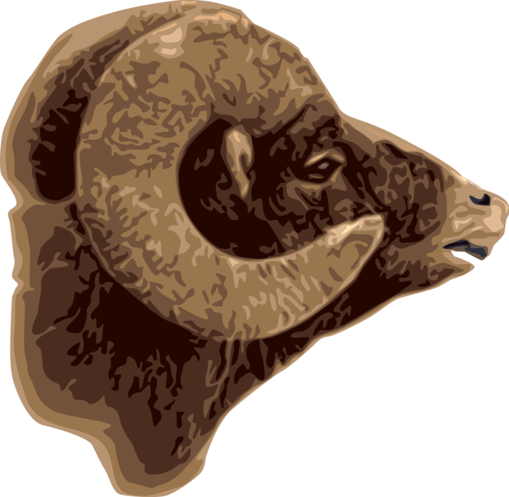 Vector Illustration of Mountain Goat Ram with Horns