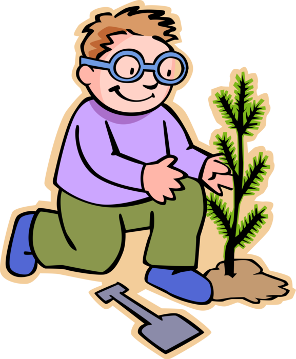 Vector Illustration of Primary or Elementary School Student Boy Planting Sapling Coniferous Evergreen Tree