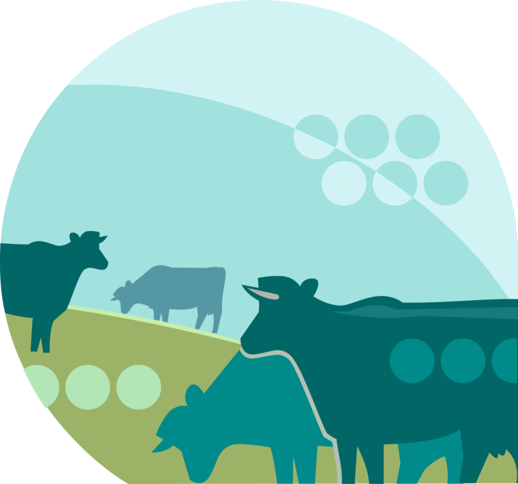 Vector Illustration of Dairy Farm Cattle Feeding on Grass in Fields