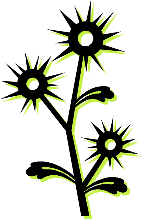 Vector Illustration of Flower Buds on Prickly Botanical Horticulture Plant with Stem and Leaves