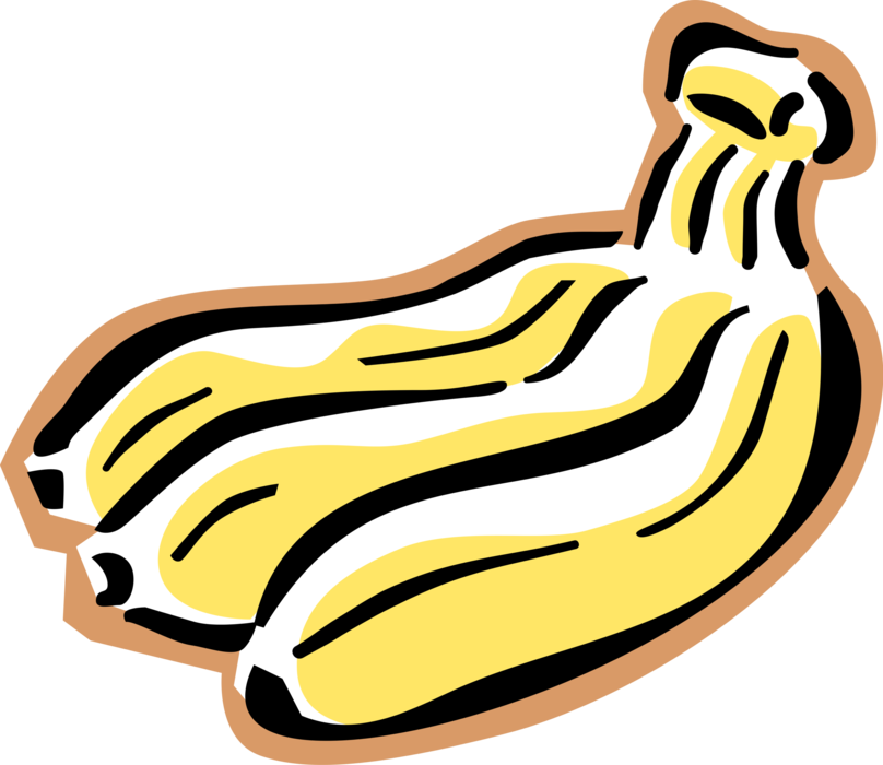 Vector Illustration of Soft, Sweet, Dessert Banana Edible Fruit 