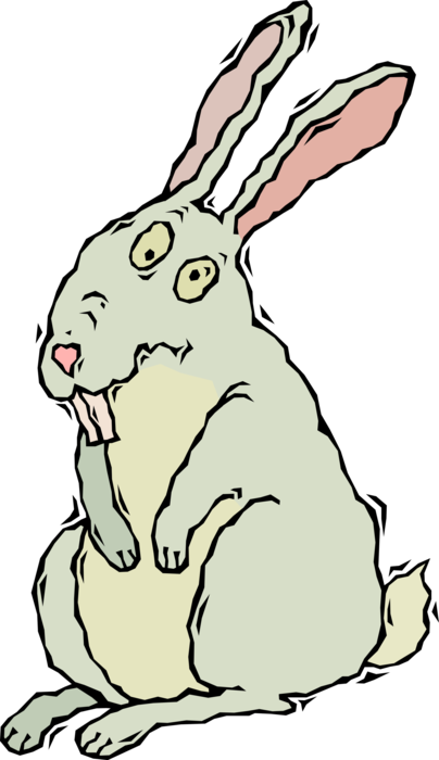 Vector Illustration of Small Mammal Bunny Rabbit