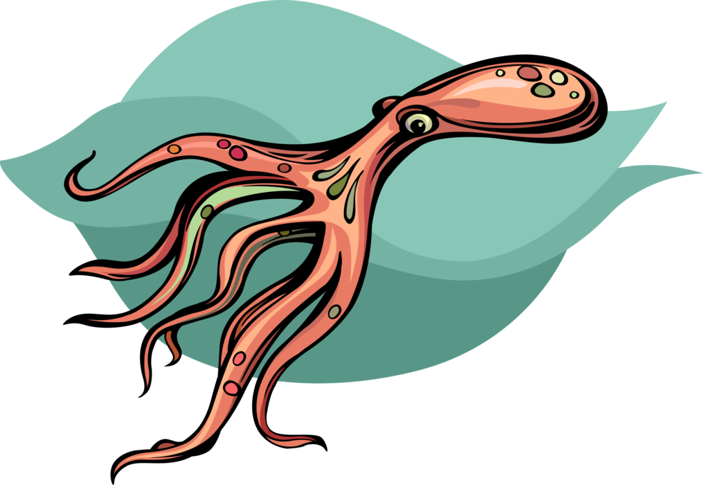 Vector Illustration of Giant Octopus Cephalopod Mollusc or Mollusk