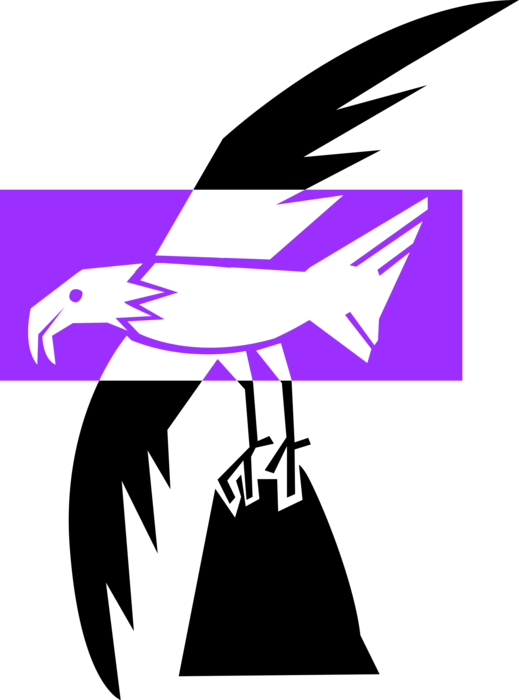 Vector Illustration of Bald Eagle Predator Bird in Flight