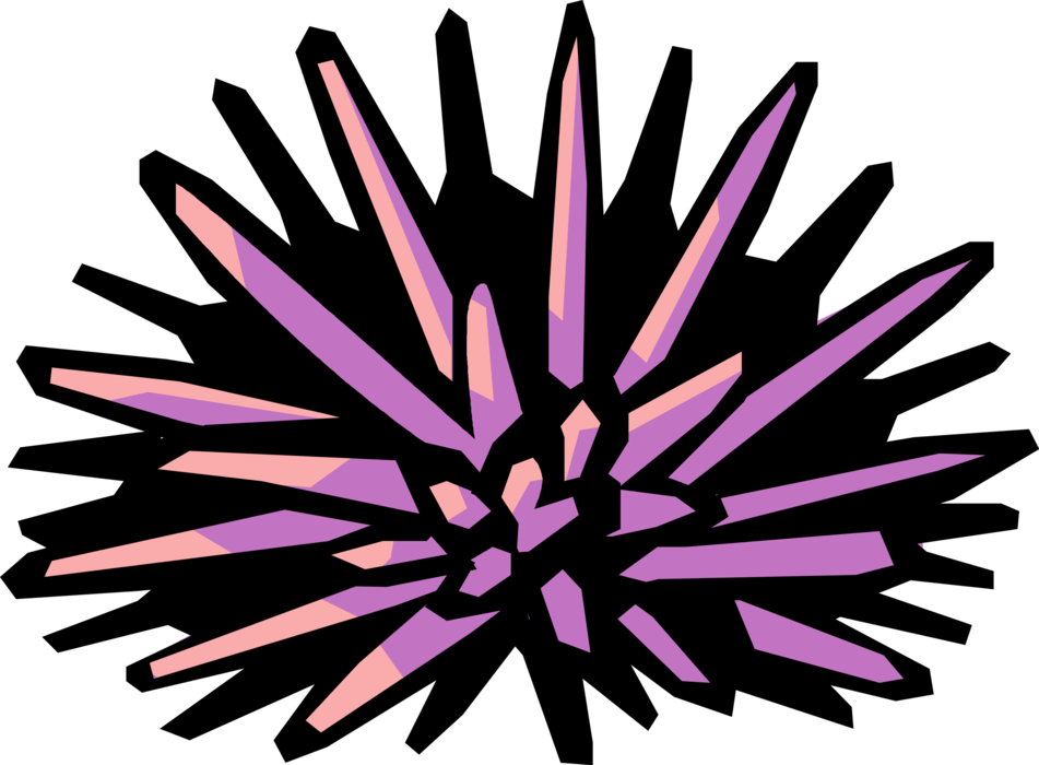 Vector Illustration of Sea Urchin or Sea Hedgehog Globular Aquatic Animal