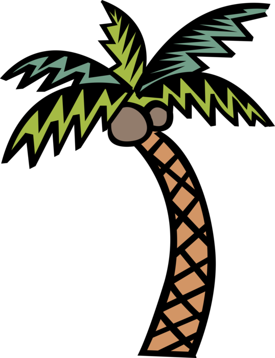 Vector Illustration of Tropical or Subtropical Palm Tree