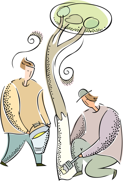 Vector Illustration of Workers Paint Tree Trunk with White Paint in Fruit Tree Farm Orchard
