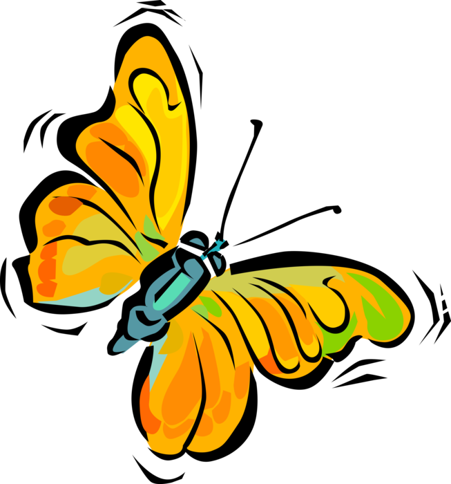 Vector Illustration of Colorful Butterfly Winged Insect