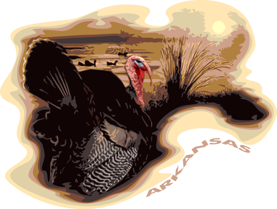 Vector Illustration of Arkansas with Wild Turkey Hunting