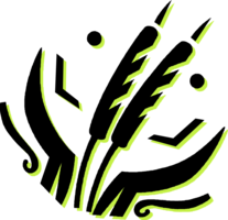 Dragonfly20160823 3757 ni9hw2