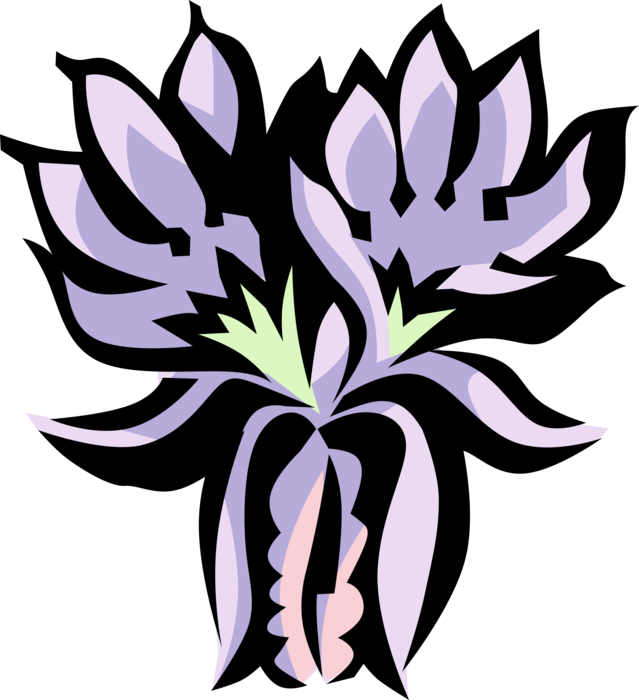 Vector Illustration of Canary-Creeper Nasturtium Botanical Horticulture Flowering Climbing Plant 