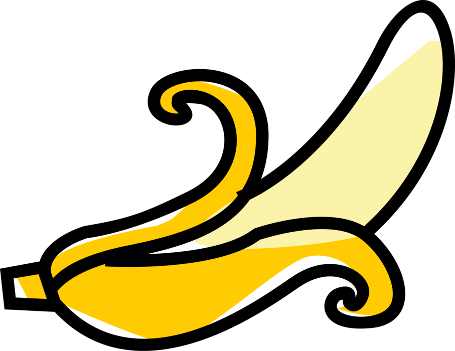 Vector Illustration of Peeled Banana Edible Fruit 