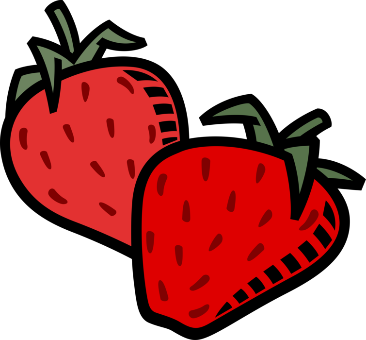 Vector Illustration of Garden Strawberry Edible Fruit