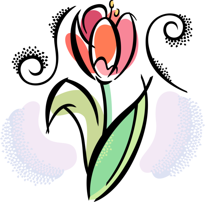 Vector Illustration of Spring Tulip Flower in Full Bloom