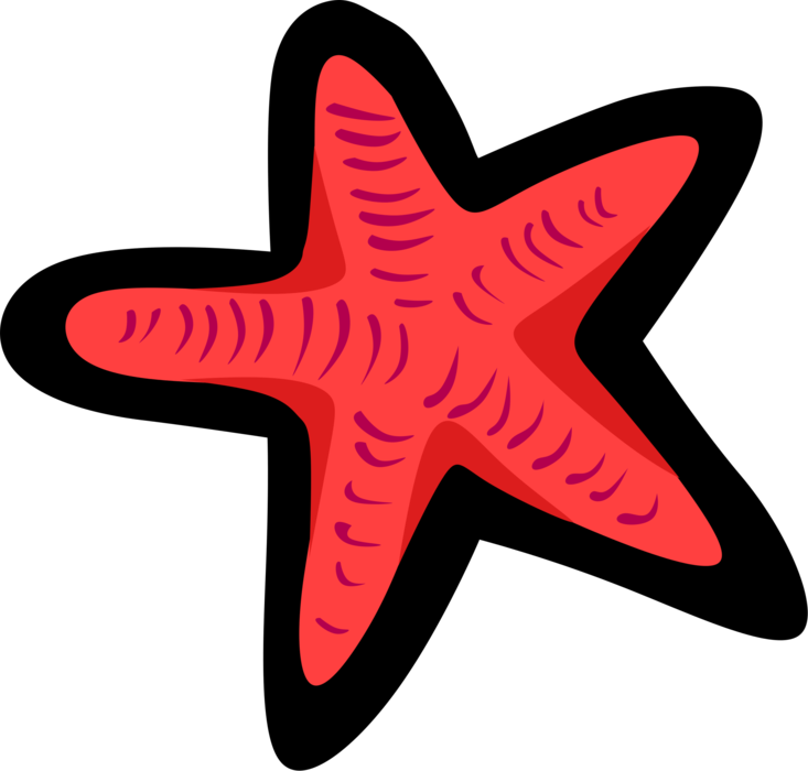 Vector Illustration of Sea Star Starfish Star-Shaped Echinoderms