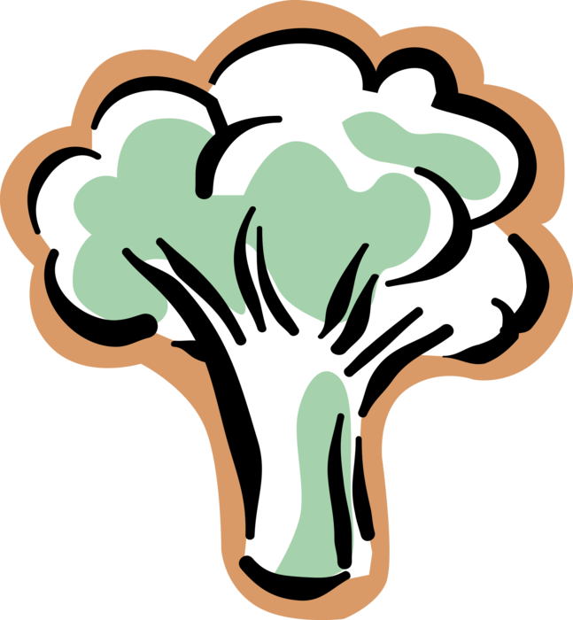 Vector Illustration of Broccoli Edible Garden Vegetable with Flowering Head