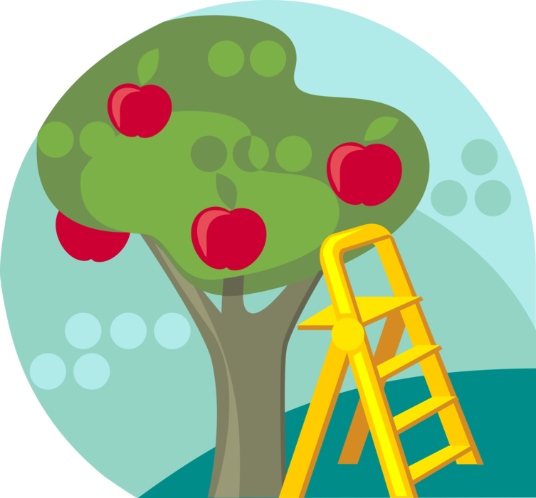 Vector Illustration of Apple Orchard Tree with Ladder