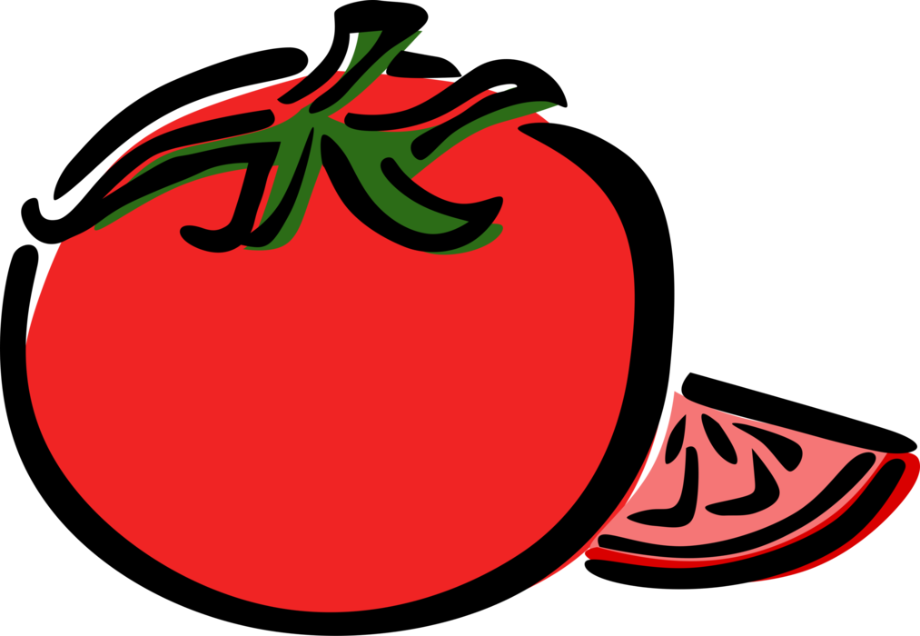 Vector Illustration of Tomato Edible Culinary Vegetable