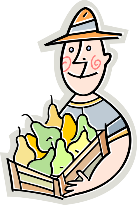 Vector Illustration of Farmer with Orchard Pears Picked from Pear Trees in Farm Harvest