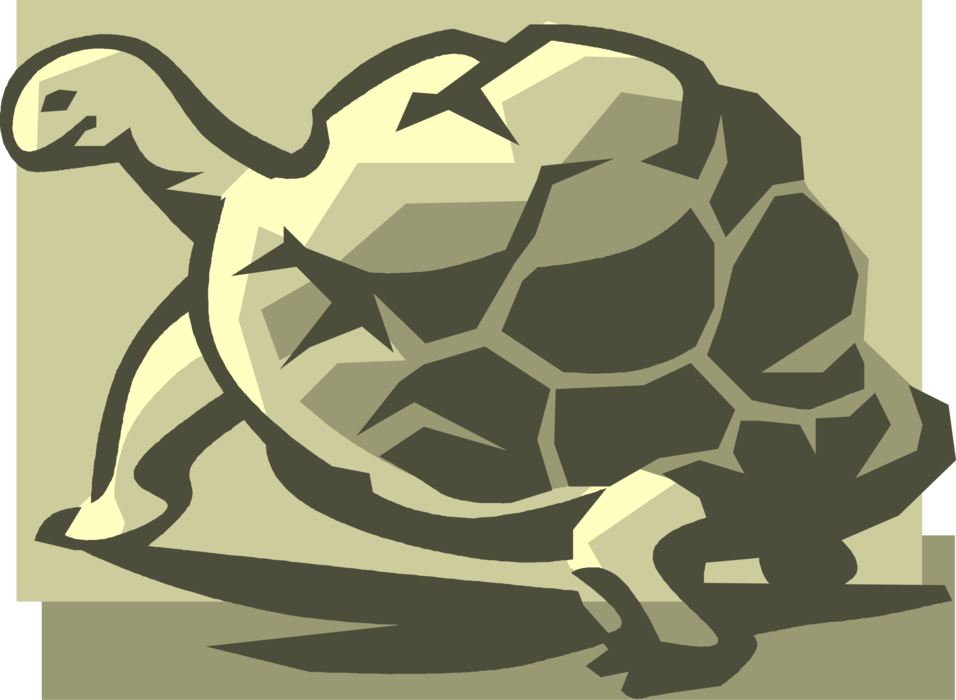 Vector Illustration of Slow-Moving Terrestrial Reptile Tortoise or Turtle