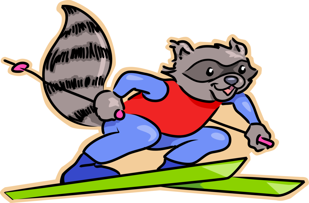 Vector Illustration of North American Raccoon Skiing with Alpine Downhill Skis