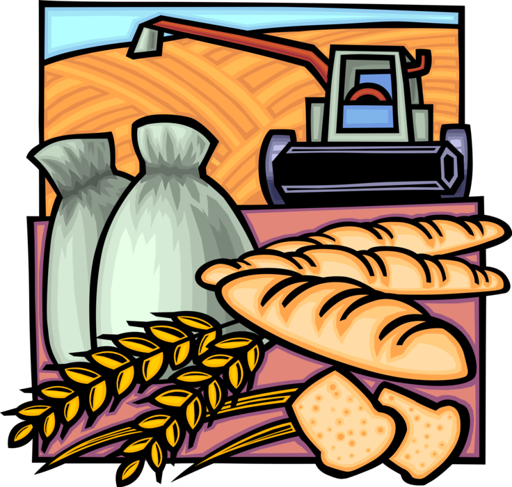 Vector Illustration of Farming Equipment Combine Harvesting Wheat Cereal Grain Crop with Bakery Bread