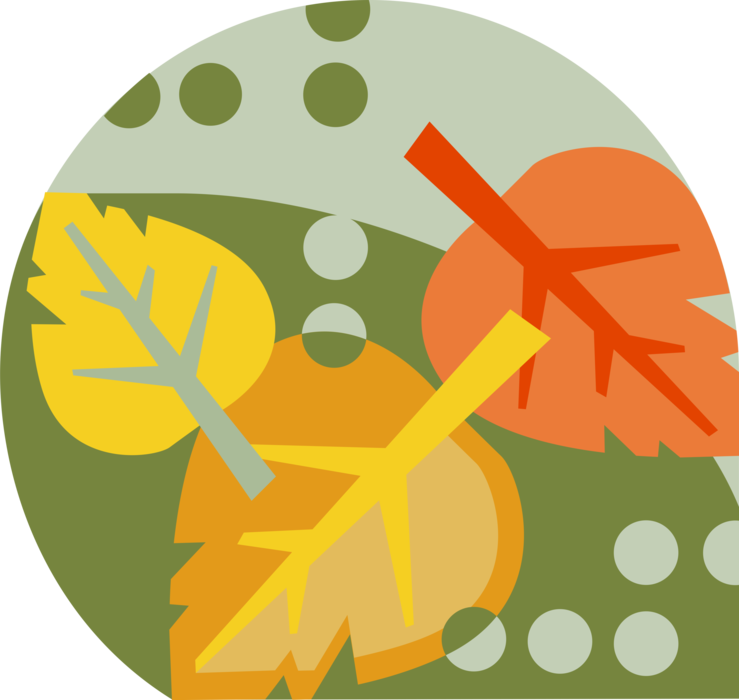Vector Illustration of Change of Seasons Autumn Fall Leaf Turn Color