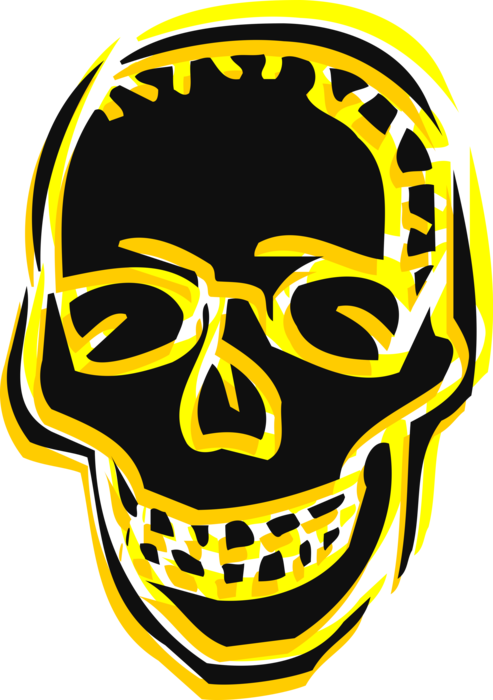 Vector Illustration of Human Skull Head