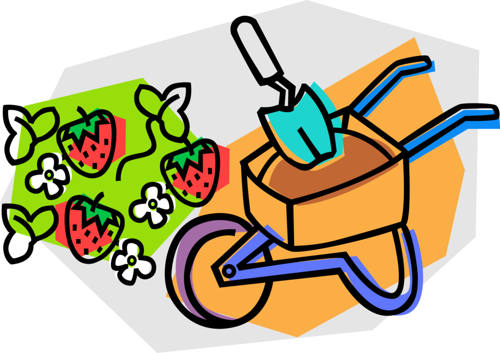 Vector Illustration of Hand-Propelled Wheelbarrow for Carrying Loads Planting Strawberries