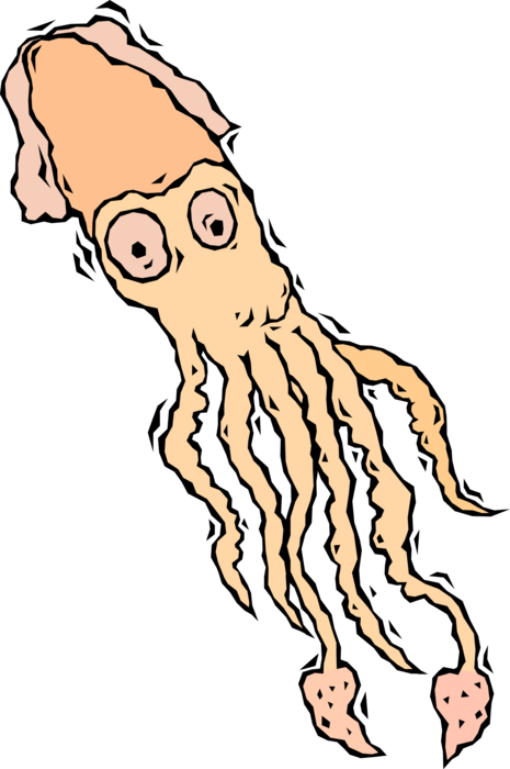 Vector Illustration of Giant Cephalopod Squid