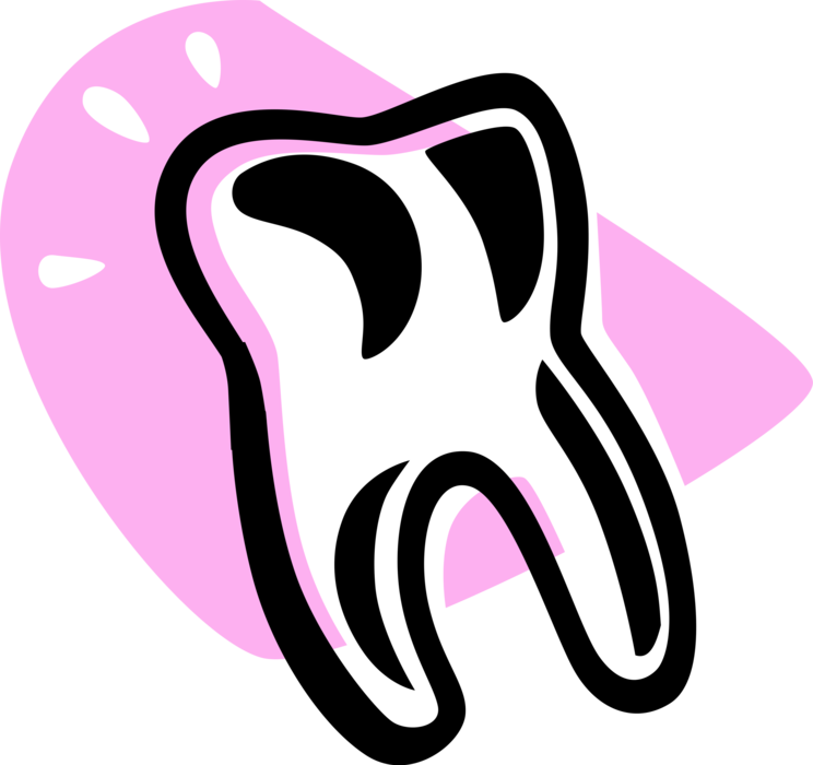 Vector Illustration of Oral and Dental Hygiene Molar Tooth