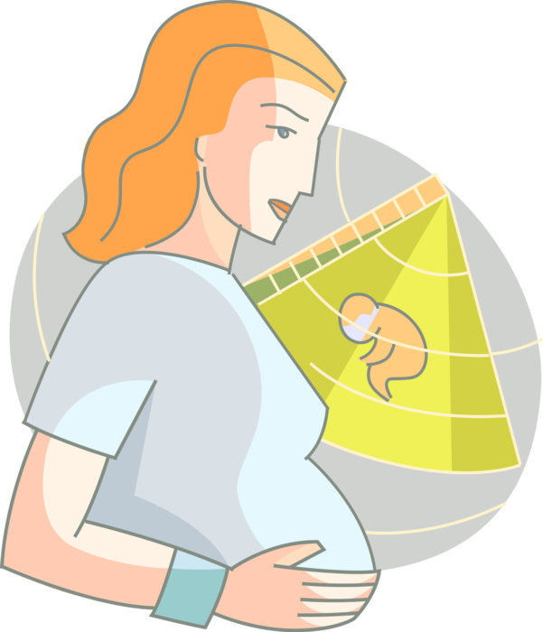 Vector Illustration of Pregnant Expectant Mother with Prenatal Ultrasound Examination with Fetus Baby in Womb