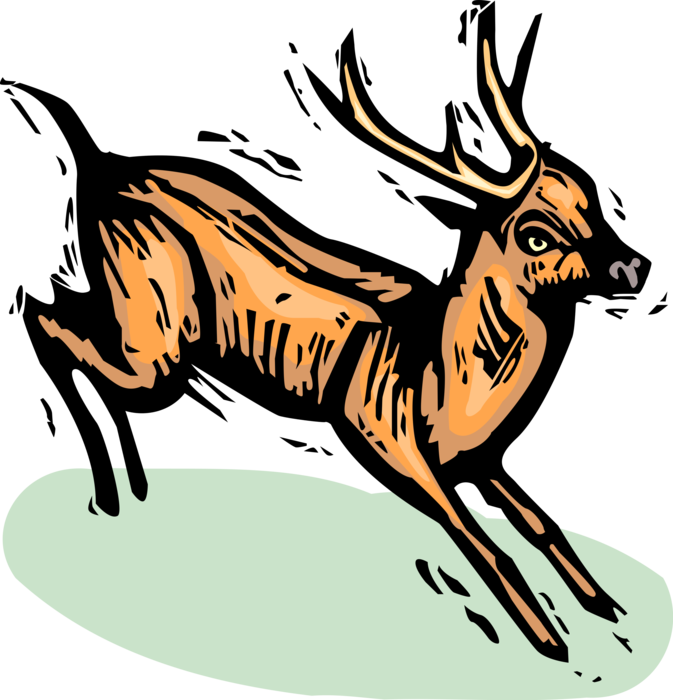 Vector Illustration of Ruminant Mammal Deer with Antlers Jumps in Wilderness